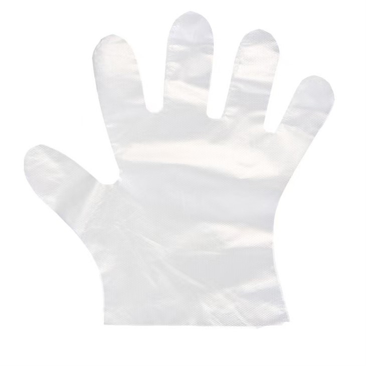 Single-use Plastic PE Gloves in Kitchen Food Counters-Manufacture factory